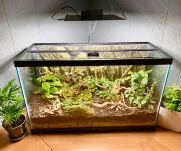 aquarium terrarium