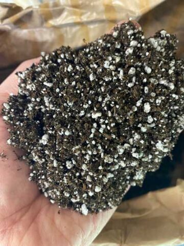 best-organic-potting-mix-for-indoor-plants