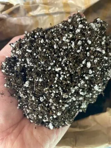 best-organic-potting-mix-for-indoor-plants