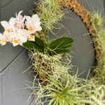 living-holiday-wreath