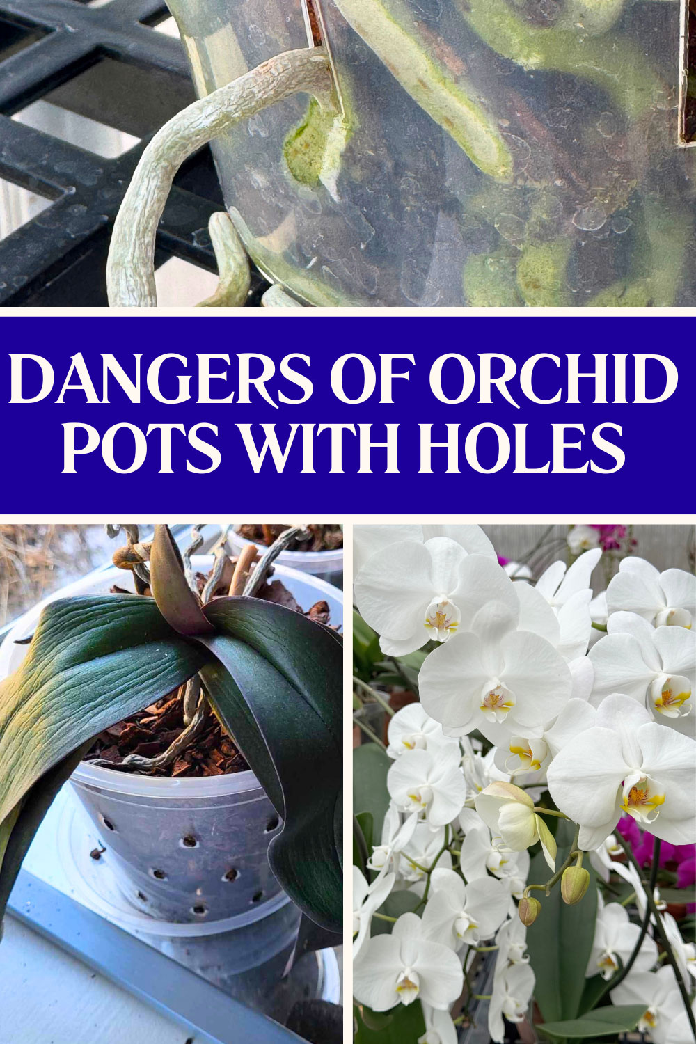 orchid-pots-with-holes-on-side