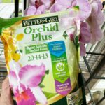 fertilizing-orchids-orchid-pro