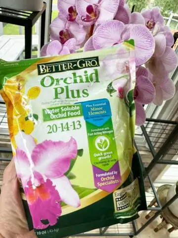 fertilizing-orchids-orchid-pro