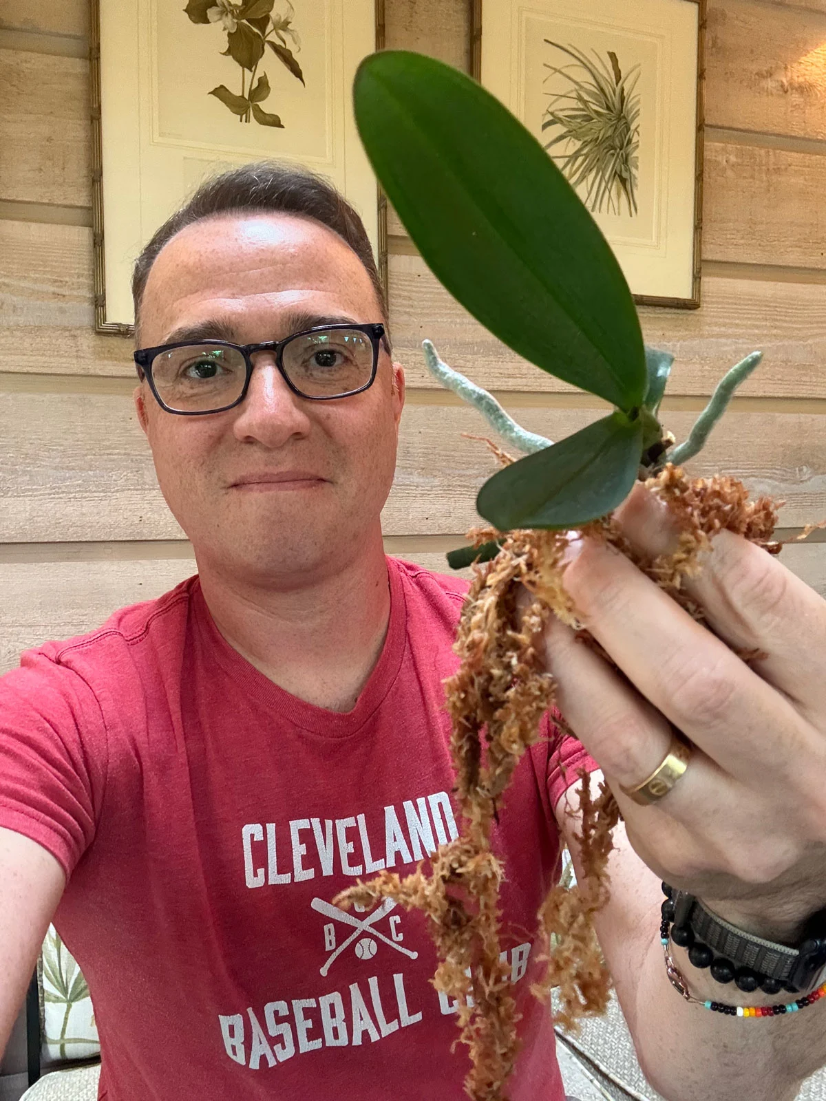 sphagnum-moss-keiki-roots