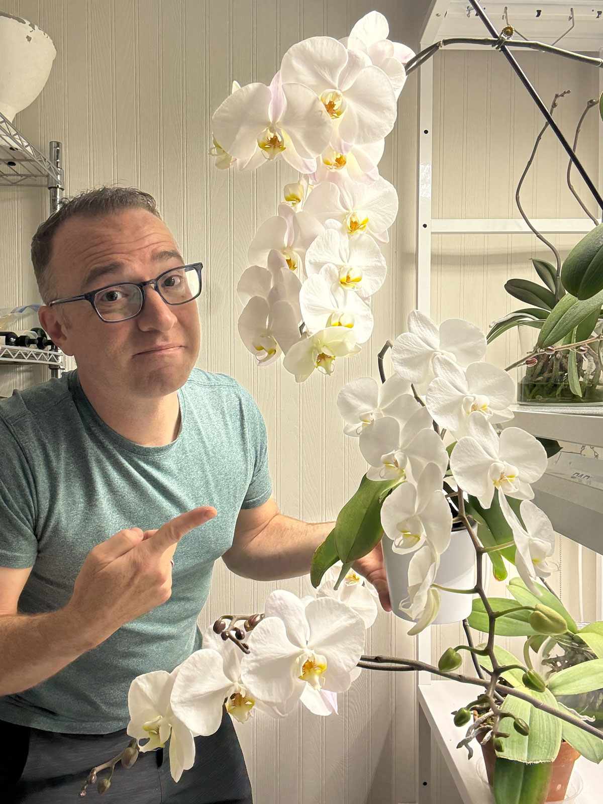 winter-orchid-care-grow-lights