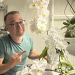 How to Grow Orchids Under Lights: A Practical Guide how-to-grow-orchids-under-lights