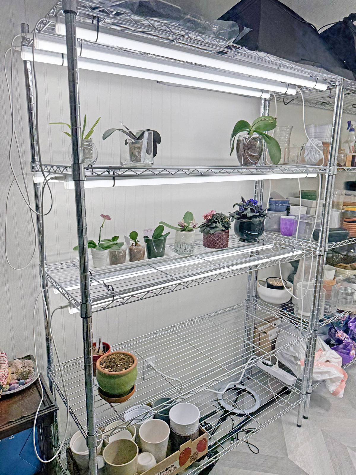 new-grow-light-set-up