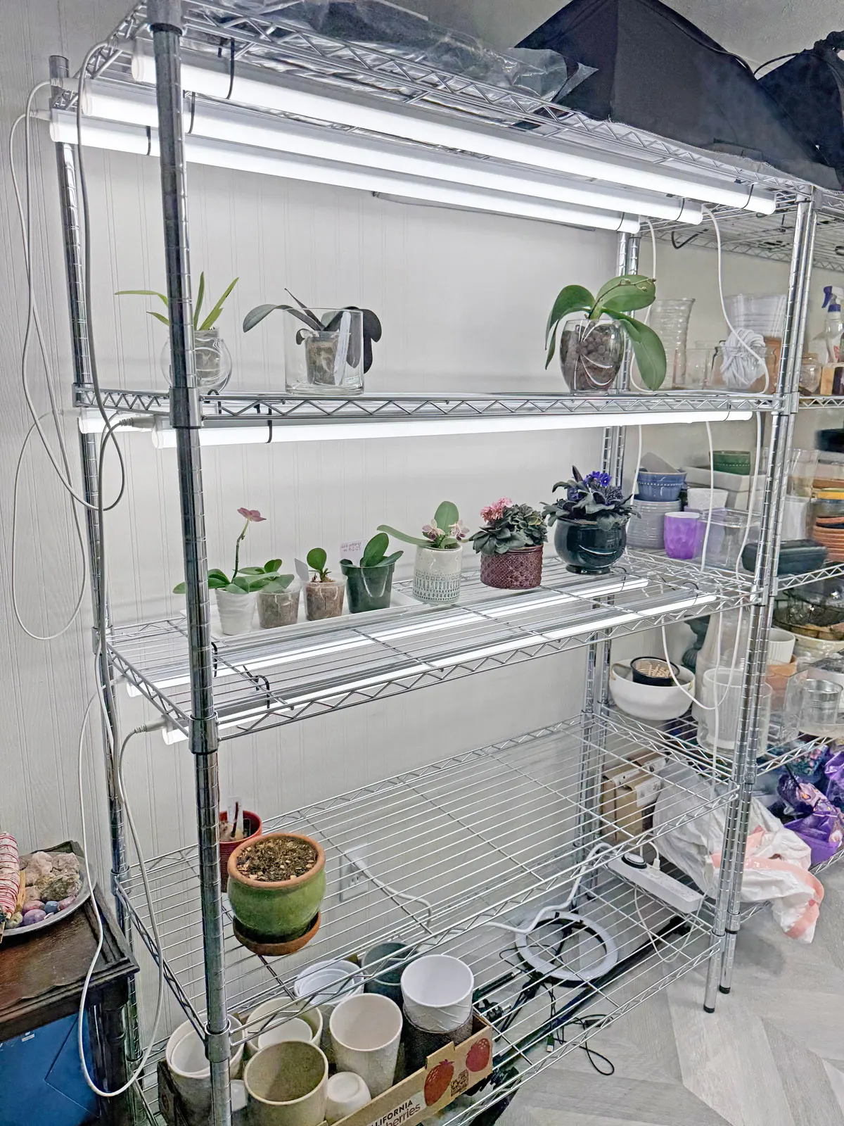 new-grow-light-set-up
