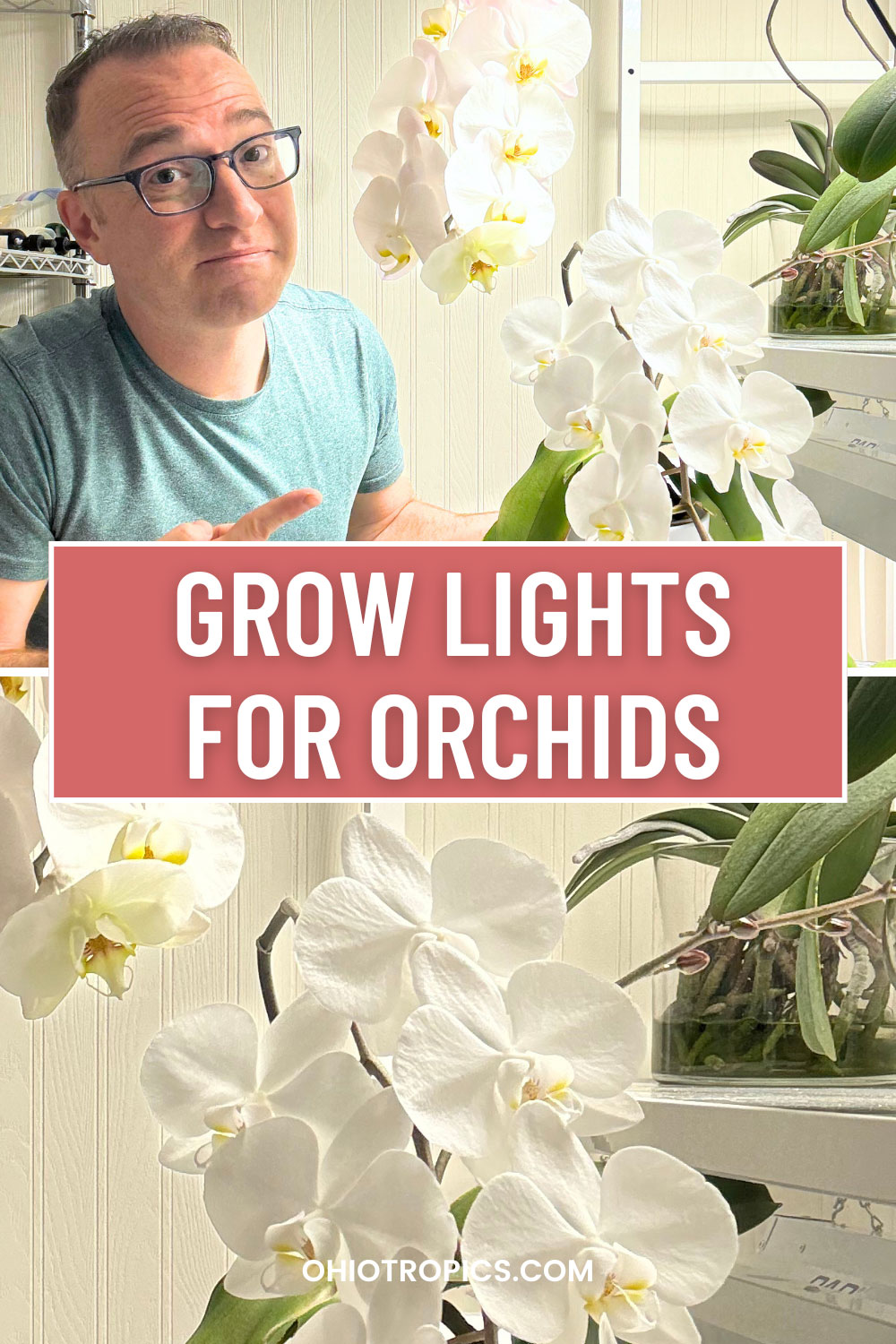 orchid-grow-lights