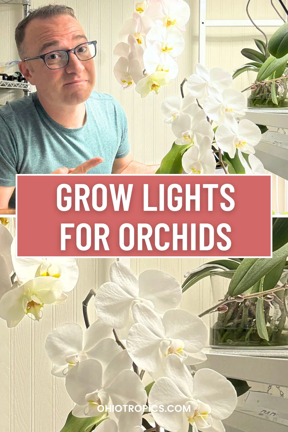 orchid-grow-lights