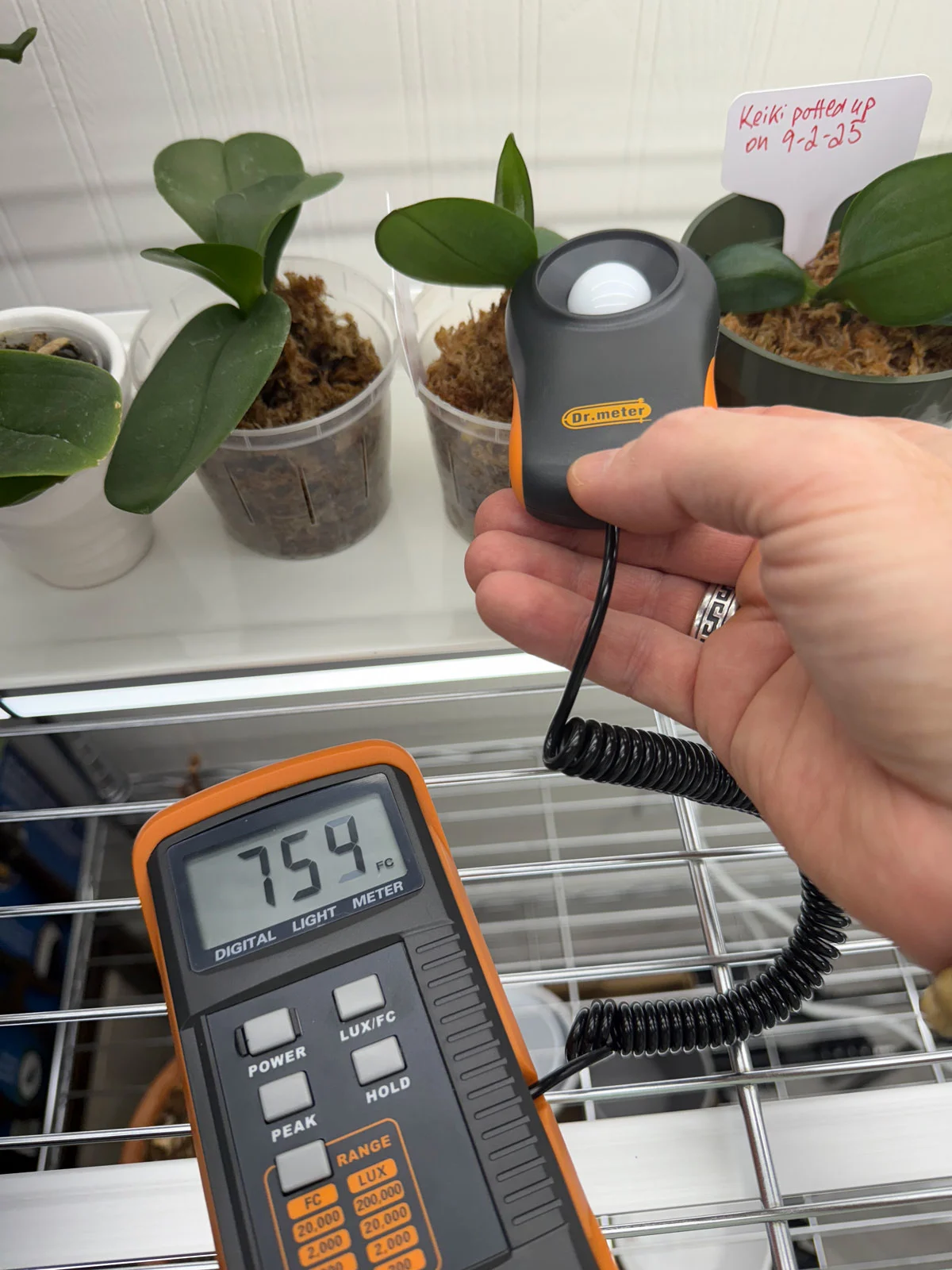 orchid-grow-lights-light-meter